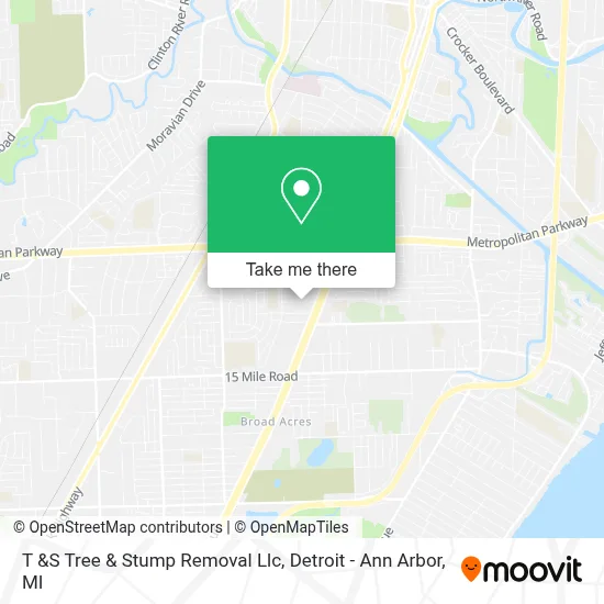 T &S Tree & Stump Removal Llc map