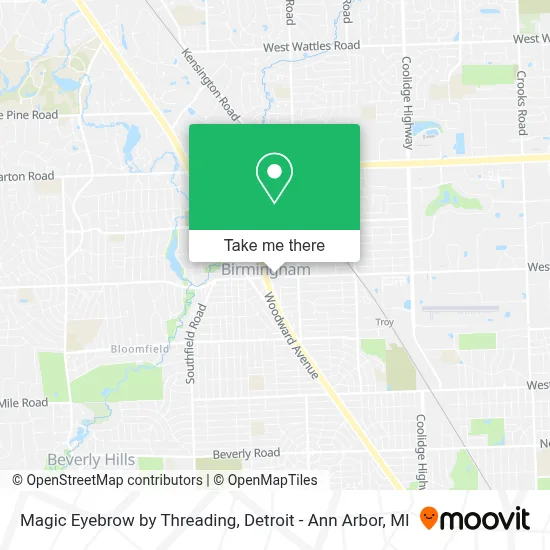 Magic Eyebrow by Threading map