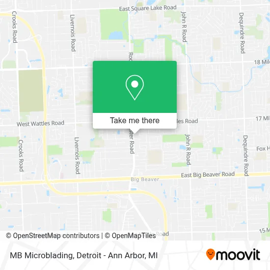 MB Microblading map