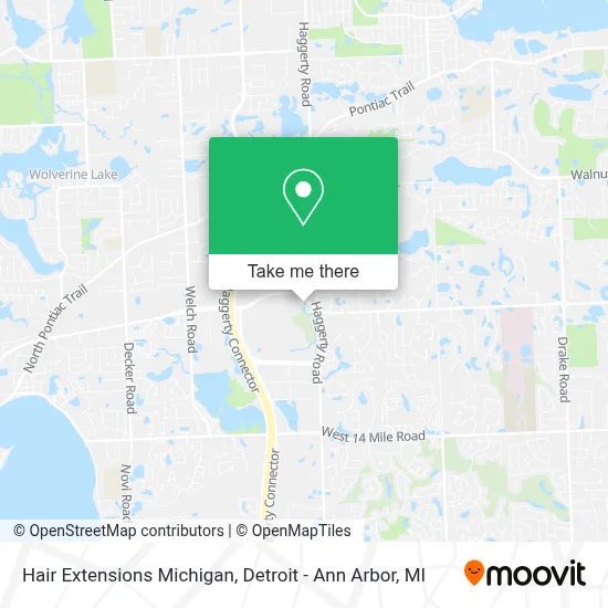Hair Extensions Michigan map