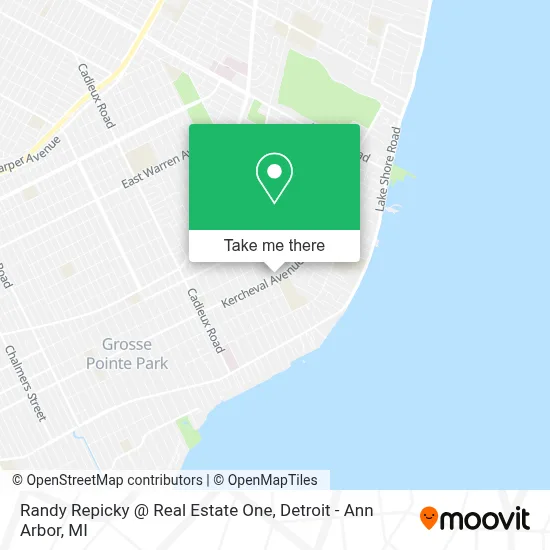 Randy Repicky @ Real Estate One map