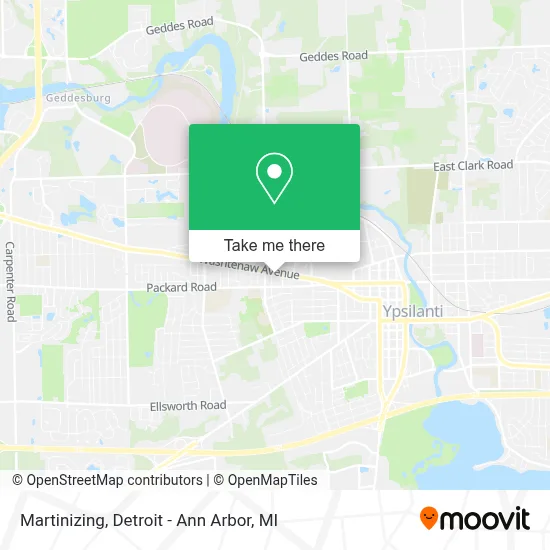 Martinizing map