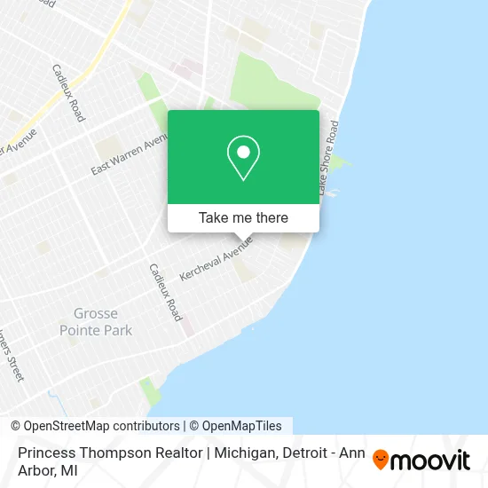 Princess Thompson Realtor | Michigan map