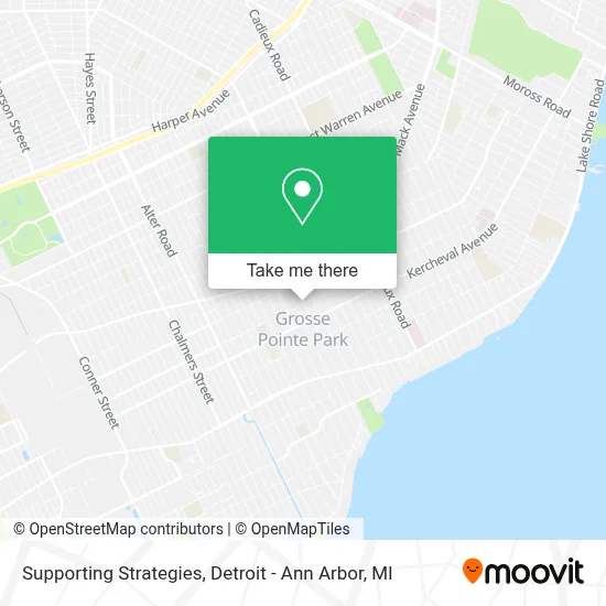 Supporting Strategies map