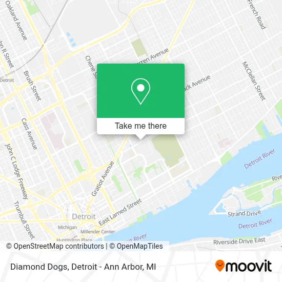 Diamond Dogs map