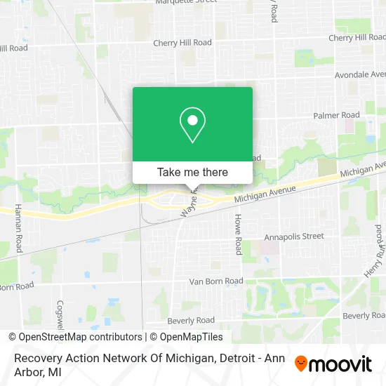 Recovery Action Network Of Michigan map