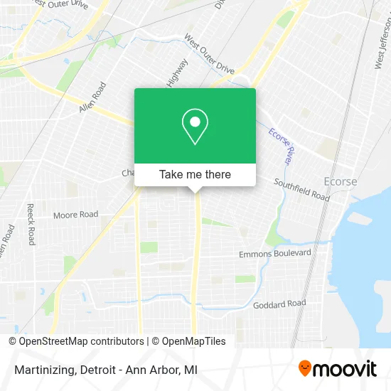 Martinizing map
