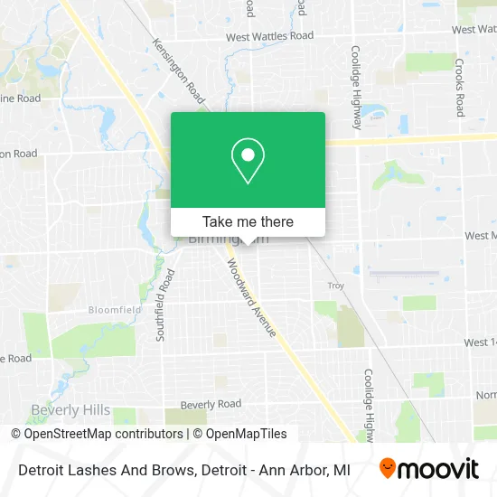 Detroit Lashes And Brows map