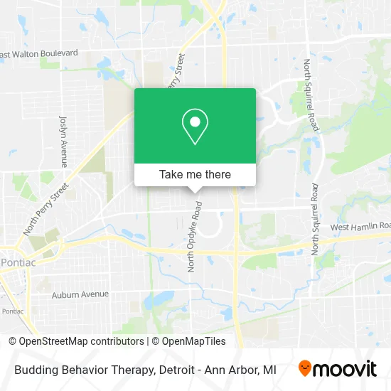 Budding Behavior Therapy map