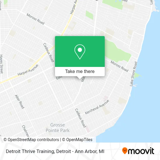 Detroit Thrive Training map