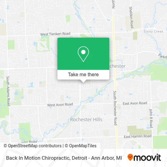 Back In Motion Chiropractic map