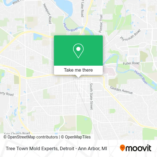 Tree Town Mold Experts map