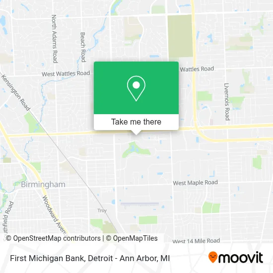 First Michigan Bank map