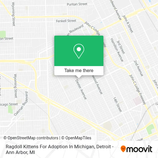 Ragdoll Kittens For Adoption In Michigan map
