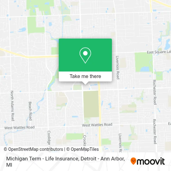 Michigan Term - Life Insurance map