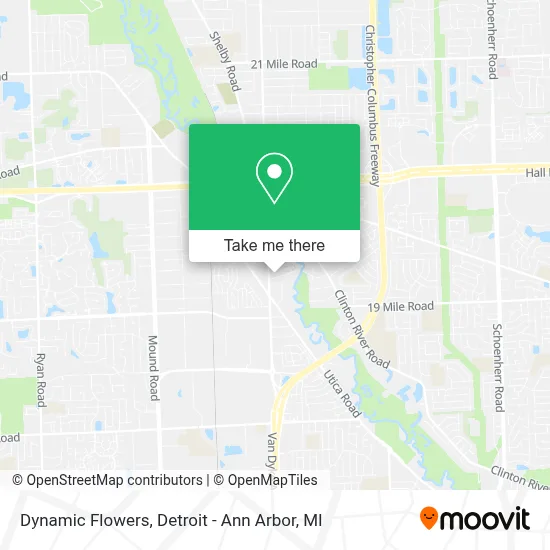 Dynamic Flowers map