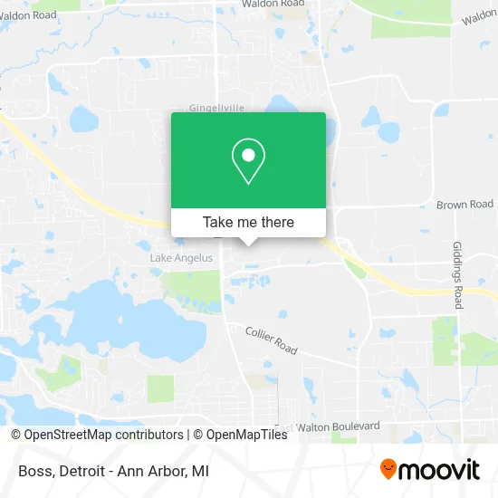 Boss map