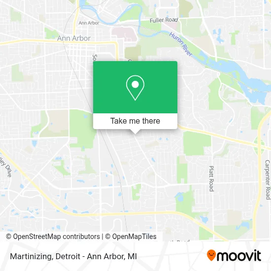 Martinizing map