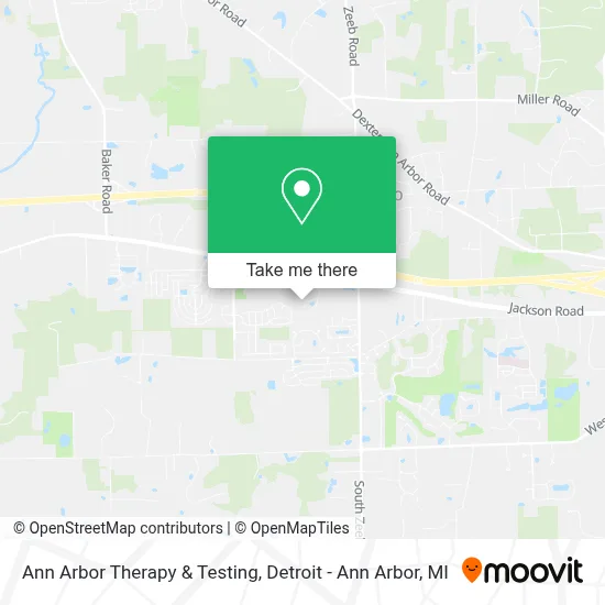 Ann Arbor Therapy & Testing map