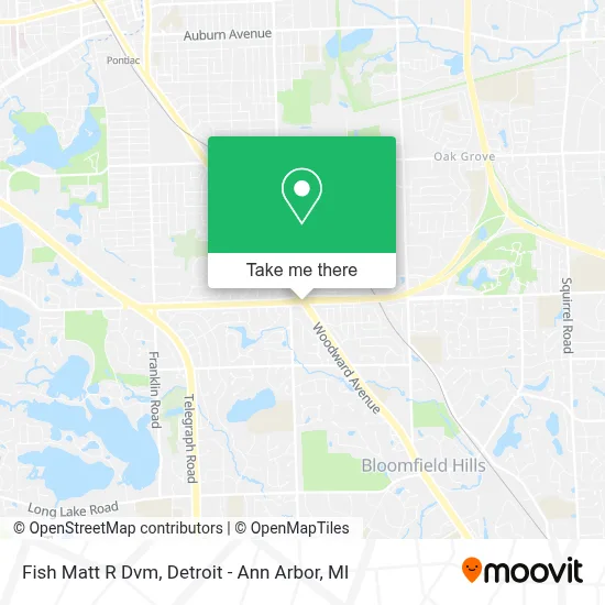 Fish Matt R Dvm map