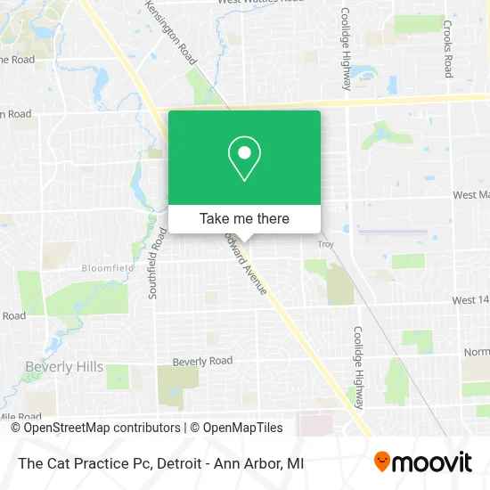 The Cat Practice Pc map