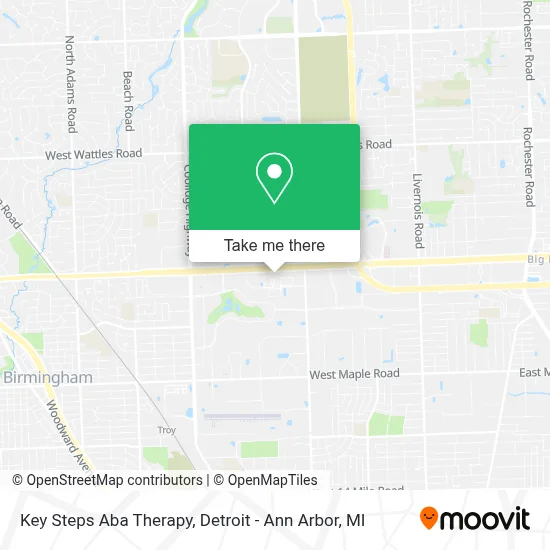 Key Steps Aba Therapy map