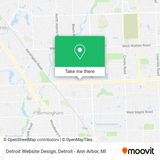 Detroit Website Design map