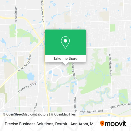 Precise Business Solutions map