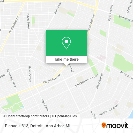 Pinnacle 313 map