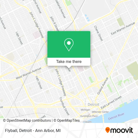 Flyball map