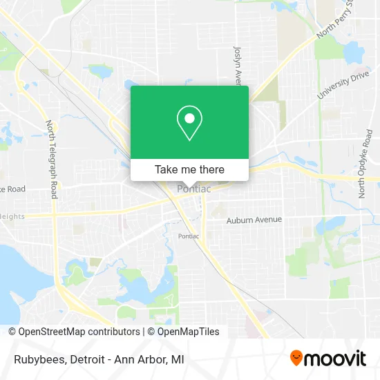 Rubybees map