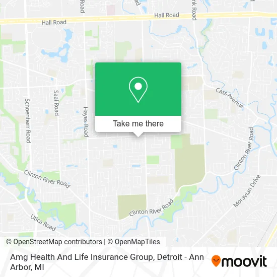Amg Health And Life Insurance Group map