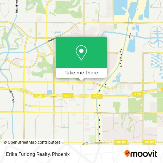 Erika Furlong Realty map