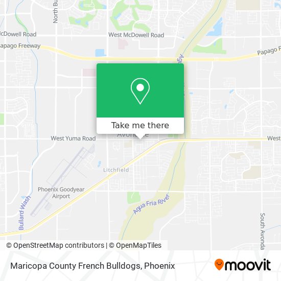 Maricopa County French Bulldogs map