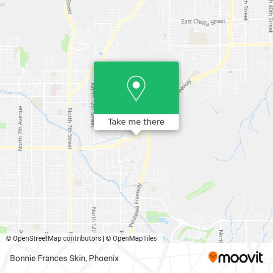 Mapa de Bonnie Frances Skin