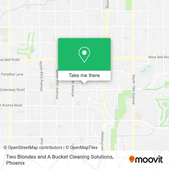 Two Blondes and A Bucket Cleaning Solutions map