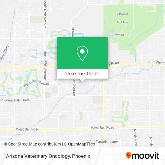Arizona Veterinary Oncology map