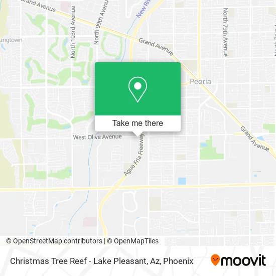 Christmas Tree Reef - Lake Pleasant, Az map
