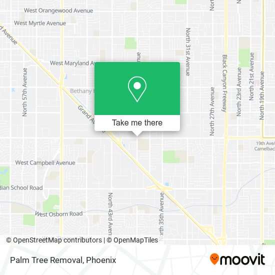 Palm Tree Removal map