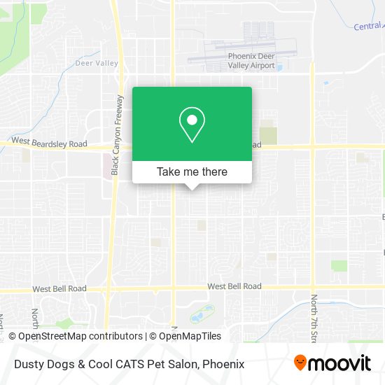 Dusty Dogs & Cool CATS Pet Salon map