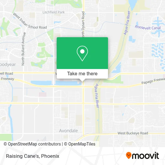 Raising Cane's map