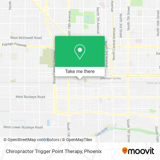 Chiropractor Trigger Point Therapy map
