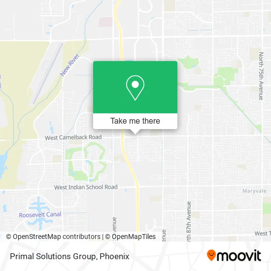 Primal Solutions Group map