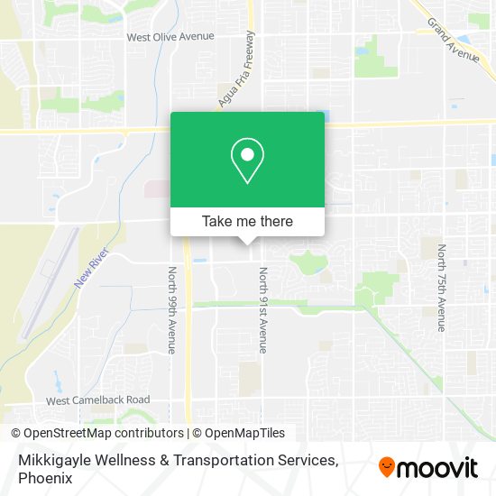 Mikkigayle Wellness & Transportation Services map