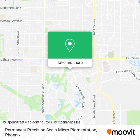 Permanent Precision Scalp Micro Pigmentation map