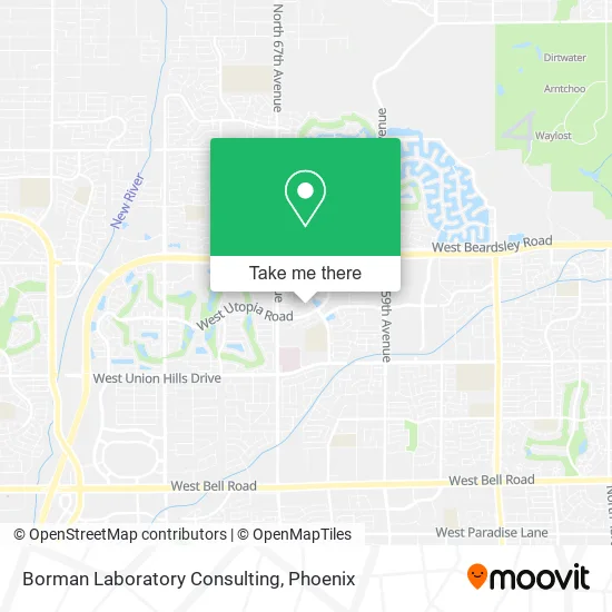 Borman Laboratory Consulting map