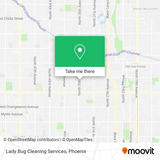 Lady Bug Cleaning Services map