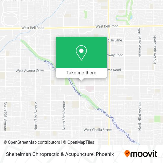 Mapa de Sheitelman Chiropractic & Acupuncture