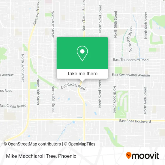 Mike Macchiaroli Tree map