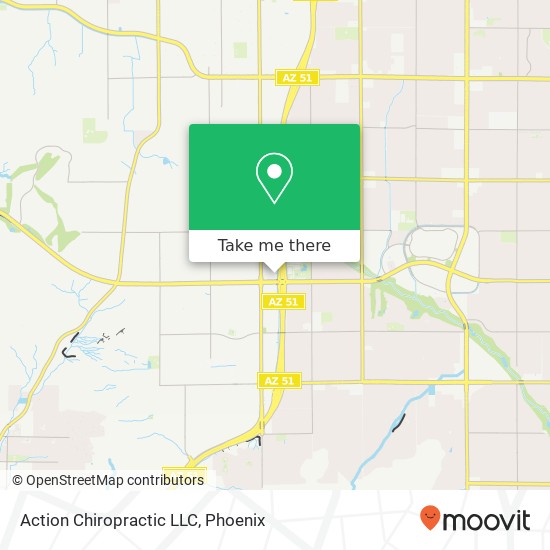 Action Chiropractic LLC map